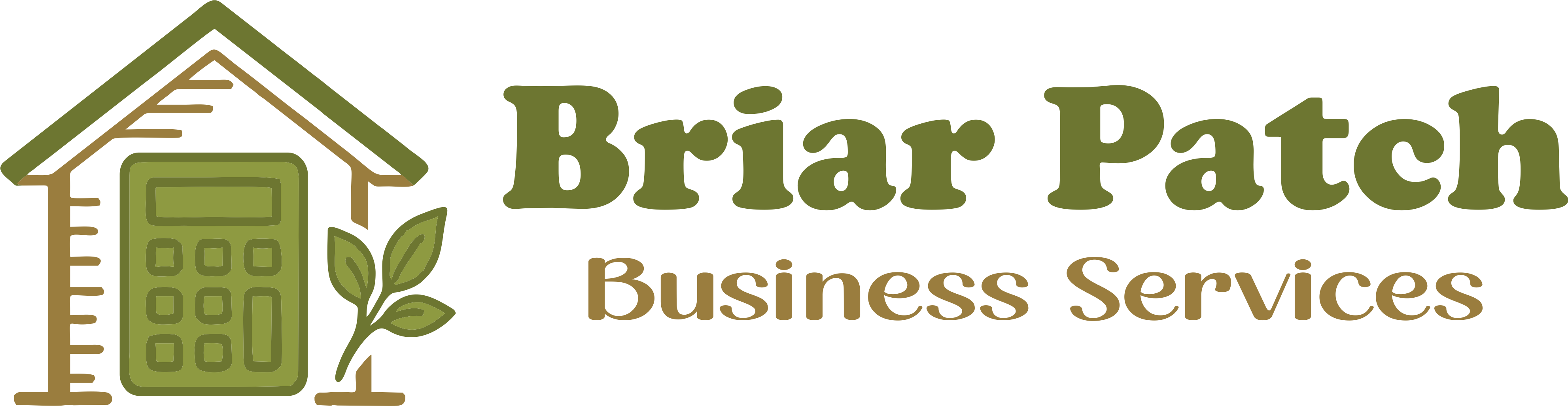 Briar Patch Business Services — Bookkeeper Eatonton GA